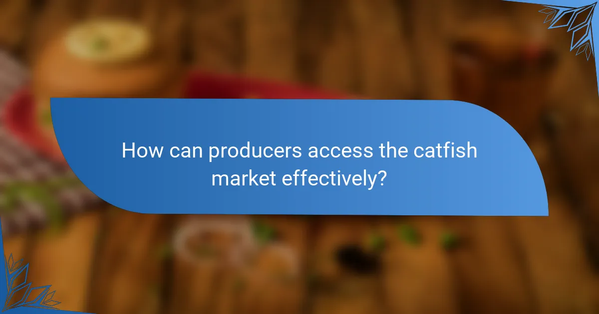 How can producers access the catfish market effectively?