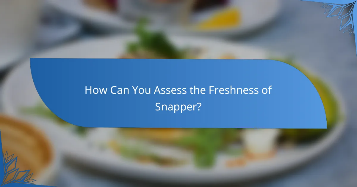 How Can You Assess the Freshness of Snapper?