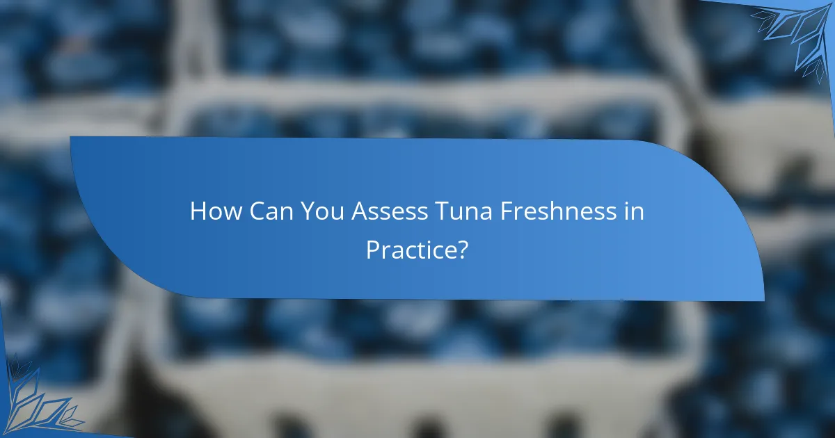 How Can You Assess Tuna Freshness in Practice?