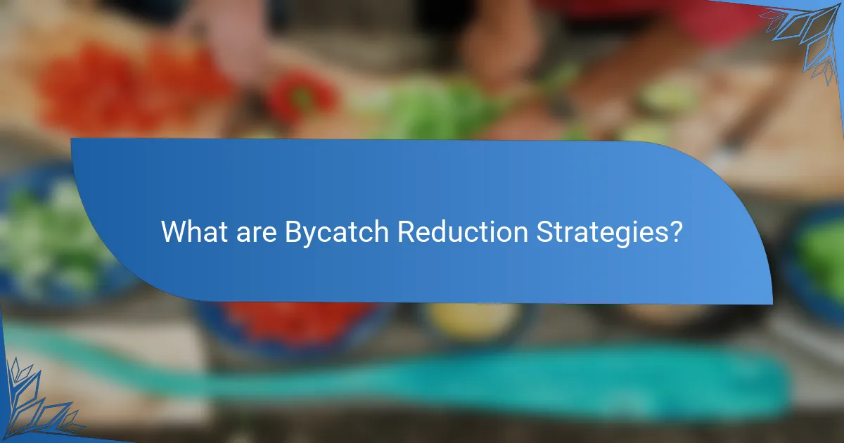 What are Bycatch Reduction Strategies?