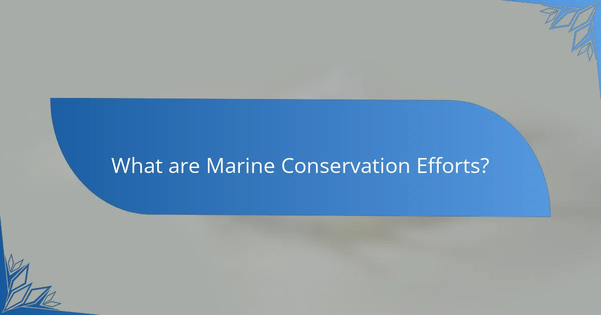 What are Marine Conservation Efforts?