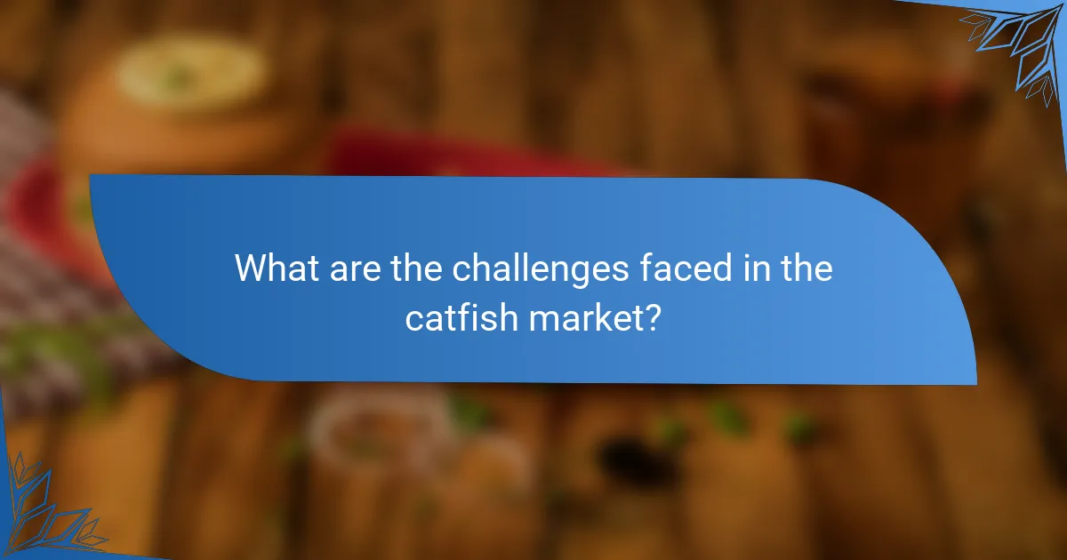 What are the challenges faced in the catfish market?
