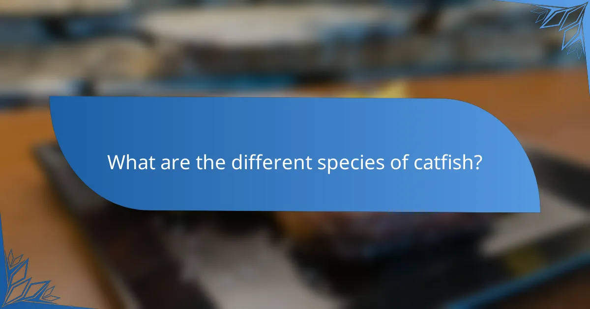 What are the different species of catfish?