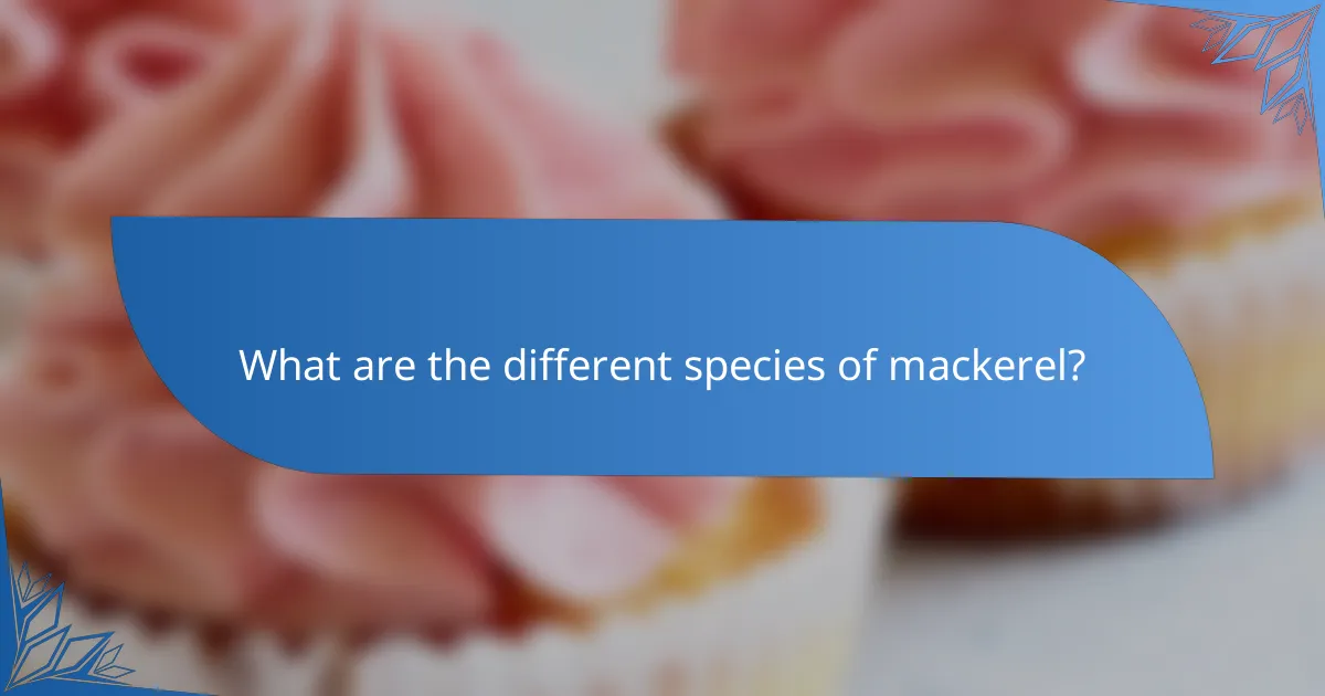 What are the different species of mackerel?