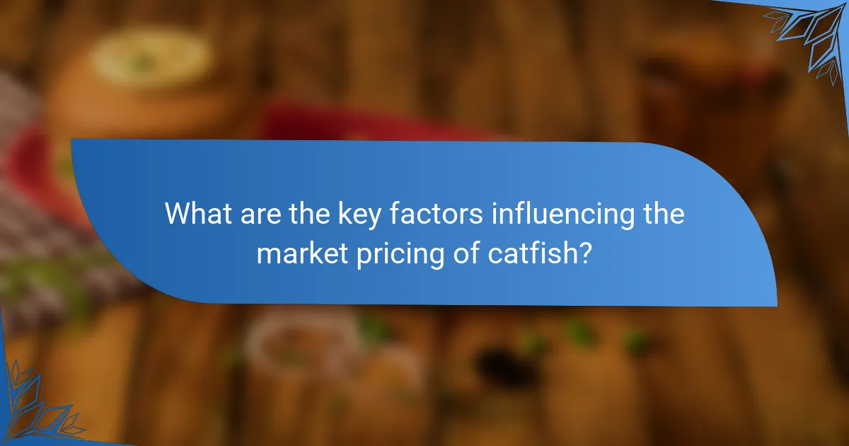 What are the key factors influencing the market pricing of catfish?