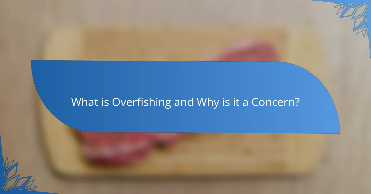 What is Overfishing and Why is it a Concern?